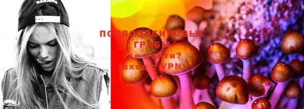 PSILOCYBIN Кодинск
