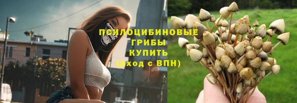 PSILOCYBIN Кодинск