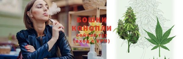 PSILOCYBIN Кодинск