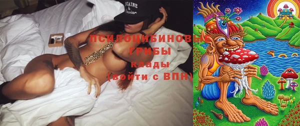 spice Козельск