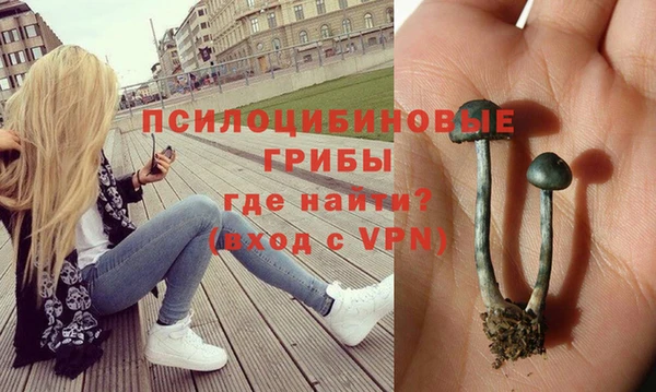 PSILOCYBIN Кодинск