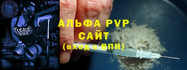 PSILOCYBIN Кодинск